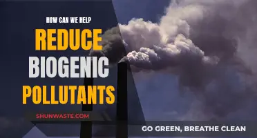 Reducing Biogenic Pollutants: A Guide to Help the Environment