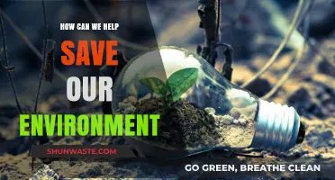 Sustainable Steps: Practical Ways to Protect and Preserve Our Planet