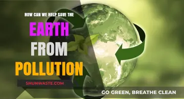 Earth's Future: Our Collective Action to Beat Pollution