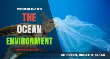 Protecting Our Oceans: Practical Steps to Preserve Marine Ecosystems