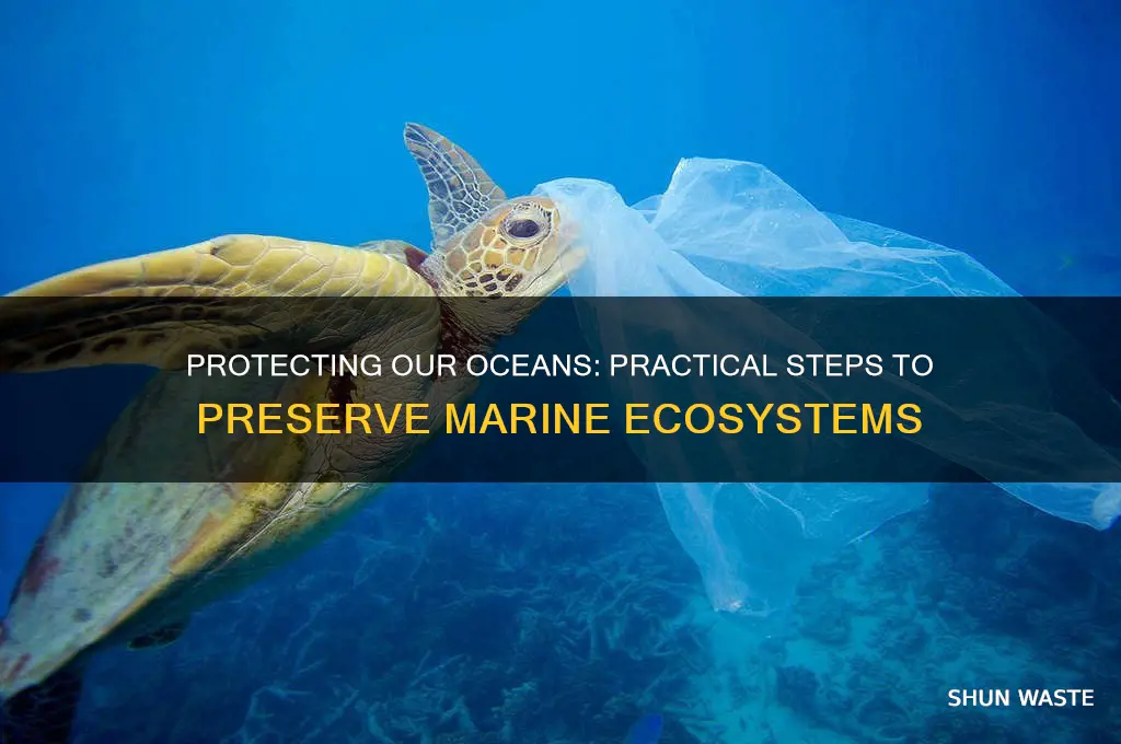 how can we help save the ocean environment