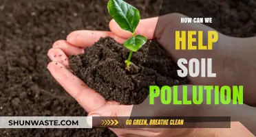 Reviving Earth: Strategies to Combat Soil Pollution