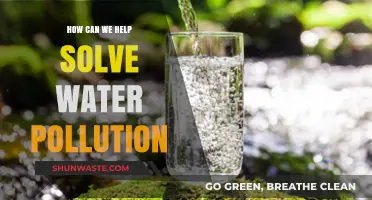 Clean Water Solutions: Our Collective Responsibility