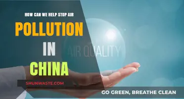 Breathing Clean: Practical Steps to Reduce Air Pollution in China