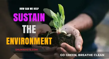 Sustainable Living: Simple Steps to Protect and Preserve Our Planet