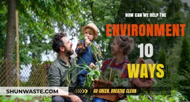 Sustainable Living: 10 Practical Ways to Protect Our Environment