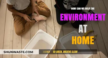 Sustainable Living: Simple Home Practices to Protect Our Environment
