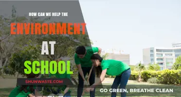 Sustainable School Steps: Simple Ways to Protect Our Planet Together