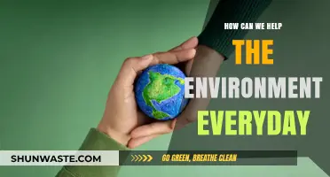 Simple Daily Habits to Protect Our Planet and Preserve Nature
