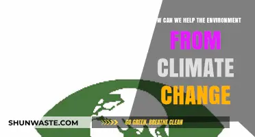 Sustainable Actions: Practical Ways to Combat Climate Change and Protect Our Planet