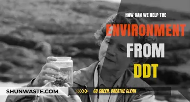Combating DDT's Impact: Practical Steps to Protect Our Environment