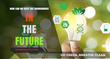 Sustainable Future: Innovative Ways to Protect and Preserve Our Environment