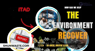 Sustainable Steps: Empowering Environmental Recovery for a Greener Future