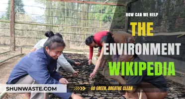 Sustainable Actions: How We Can Protect and Restore Our Environment