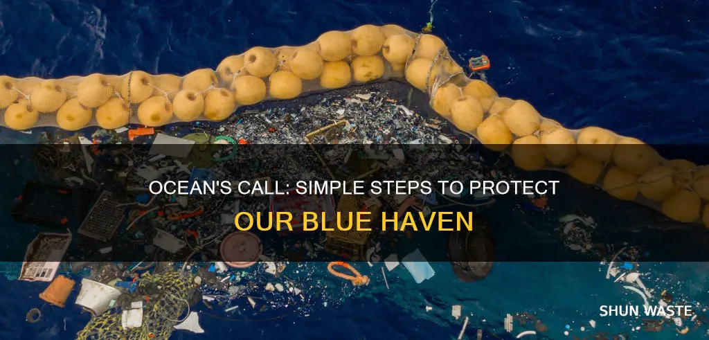 how can we help the ocean from pollution