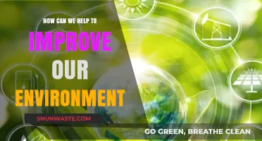 Sustainable Steps: Simple Actions to Protect and Restore Our Environment