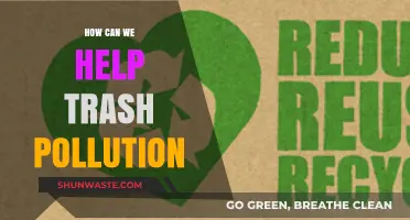 Beat Trash Pollution: Simple Steps for a Greener Future