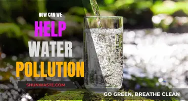 Ways to Combat Water Pollution and Help the Environment