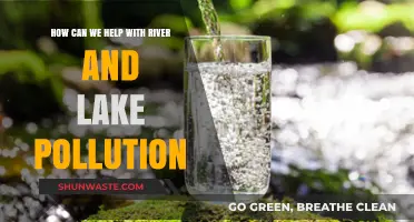 Clean Water Solutions: Strategies to Combat River and Lake Pollution