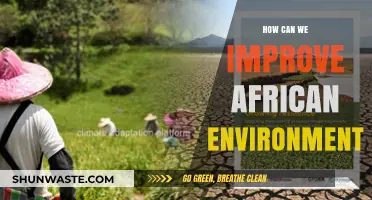 Sustainable Solutions: Enhancing Africa's Environment for a Greener Future