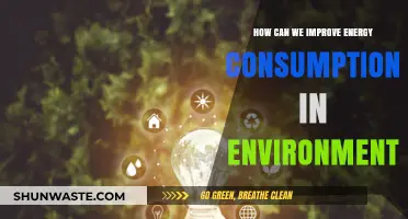 Sustainable Solutions: Enhancing Energy Efficiency for a Greener Environment