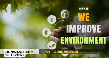 Sustainable Steps: Practical Ways to Enhance Our Environment Effectively