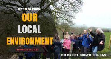 Enhancing Our Local Environment: Practical Steps for a Greener Tomorrow