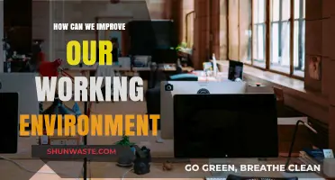Enhancing Productivity: Strategies to Create a Better Working Environment