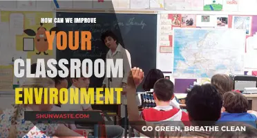 Enhancing Learning Spaces: Strategies to Transform Your Classroom Environment