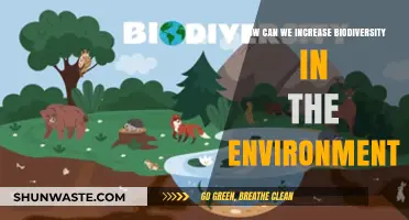 Boosting Biodiversity: Practical Strategies for a Healthier, Thriving Ecosystem