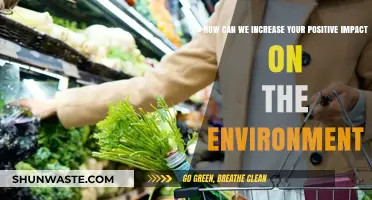 Sustainable Steps: Maximizing Your Positive Environmental Impact Daily