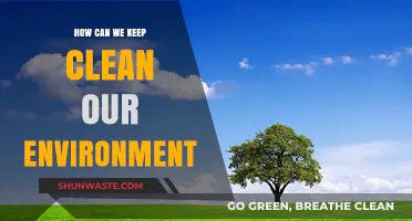 Sustainable Practices to Keep Our Environment Clean and Healthy
