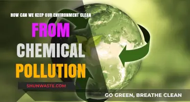 Clean Environment: Strategies to Combat Chemical Pollution