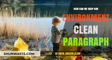 Sustainable Practices to Maintain a Clean and Healthy Environment