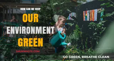 Sustainable Living: Simple Steps to Preserve Our Green Environment