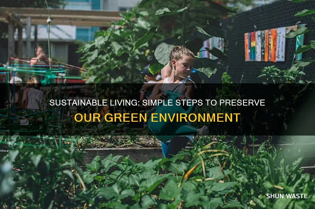 how can we keep our environment green