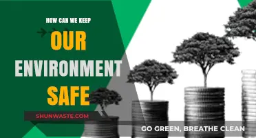 Sustainable Practices to Protect Our Environment for Future Generations