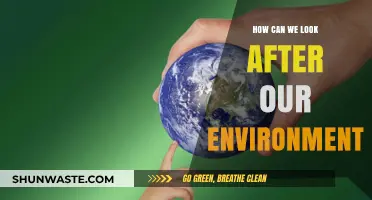 Sustainable Living: Simple Steps to Protect and Preserve Our Environment