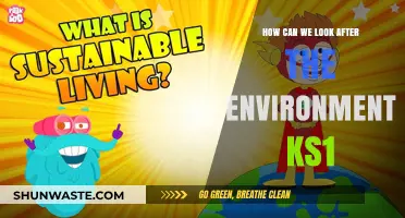 Caring for Our Planet: Simple Eco-Friendly Tips for KS1 Learners