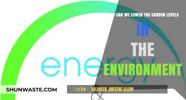 Sustainable Solutions: Reducing Carbon Levels for a Greener Future