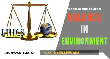 Sustaining Harmony: Ethical Practices for a Balanced Environment