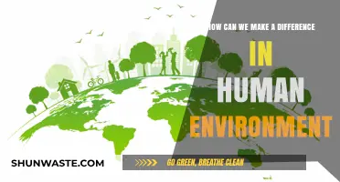 Empowering Change: Sustainable Actions to Transform Our Human Environment