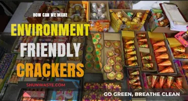 Eco-Friendly Celebrations: Crafting Green Crackers for a Sustainable Future