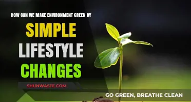 Simple Lifestyle Changes for a Greener, Healthier Environment