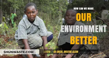 Sustainable Steps: Simple Actions for a Greener, Healthier Environment