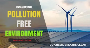 Strategies for a Green Revolution: Achieving a Pollution-Free World