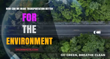 Sustainable Mobility: Greener Transportation Solutions for a Healthier Planet