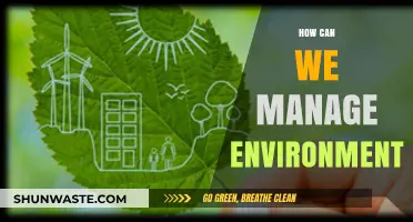 Sustainable Practices for Effective Environmental Management and Conservation