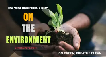 Sustainable Living: Practical Steps to Reduce Our Environmental Footprint