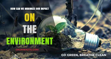 Sustainable Living: Simple Steps to Reduce Your Environmental Footprint